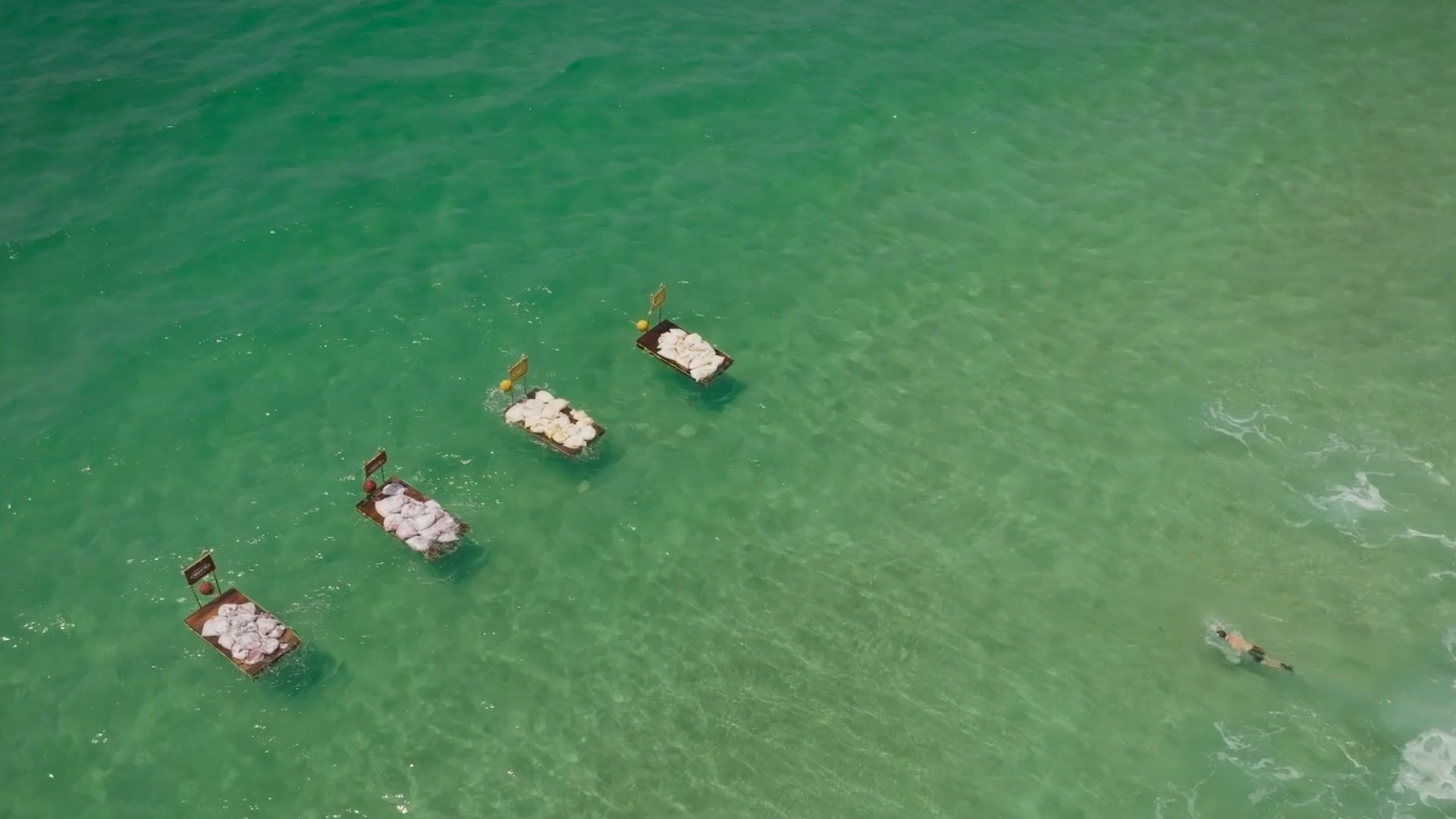 Survivor — juego en el mar